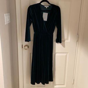 See and Be Seen Velvet Emerald Dress